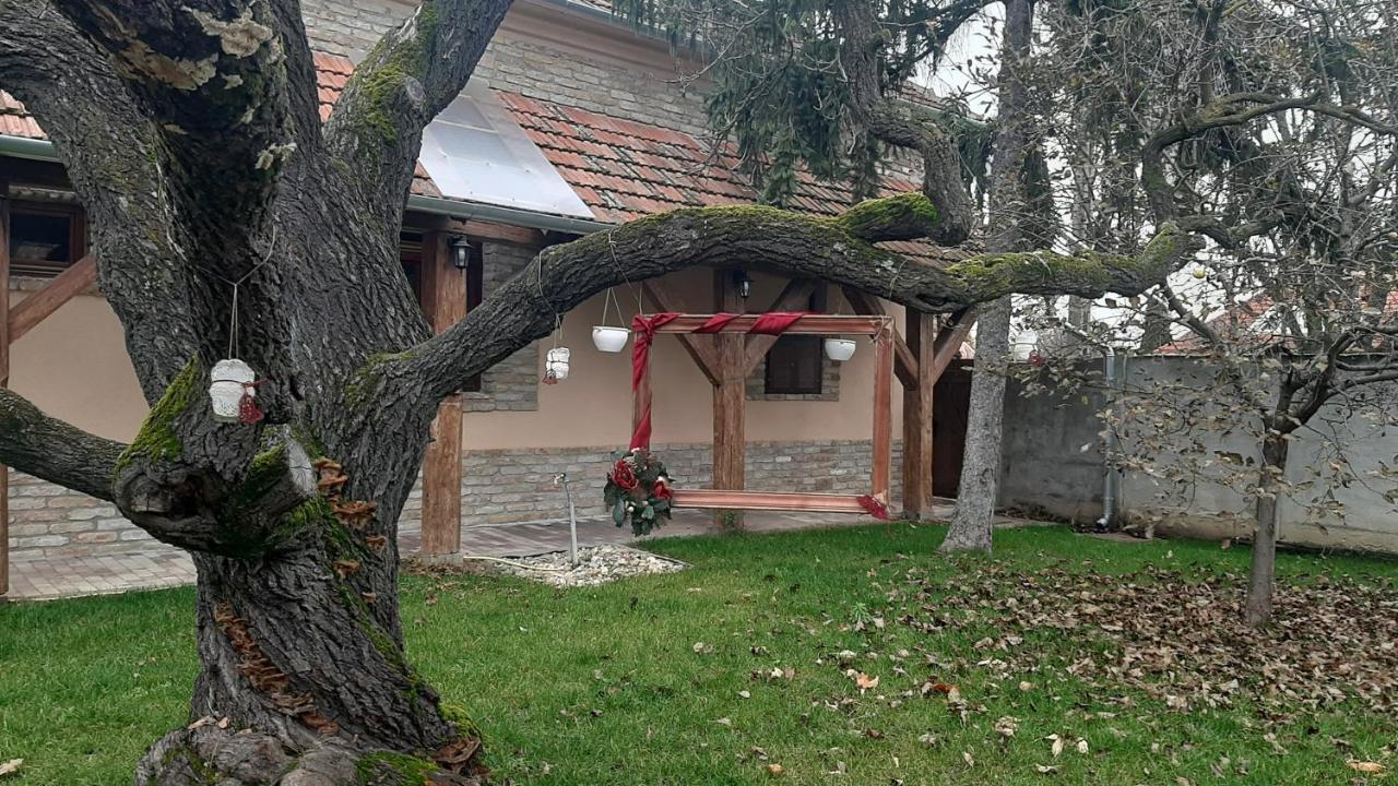 Villa Rusztika Gyula Dış mekan fotoğraf